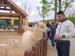-太原动物园