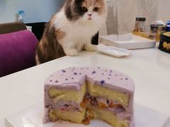 -皇子烘焙手作 prince baking(天河店)