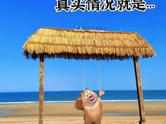 -巧克力渔家.小船海鲜家常菜(三浴场店)