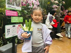 -正佳雨林生态植物园