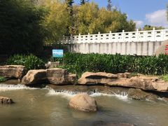景点-洛龙公园