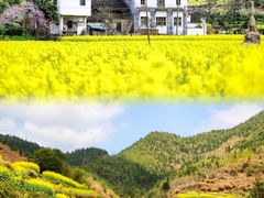 -婺源风景区