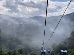 -野象谷景区