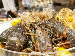 -凯菲厅海鲜姿造·海鲜自助·帝王蟹·龙虾(成都群光君悦酒店)