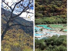 -黄龙山原始森林景区