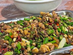 -铁山坪森林公园