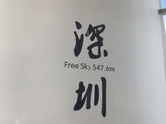 -平安金融中心云际观光层