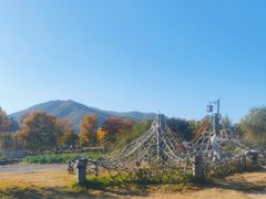 -径山花海