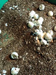 -酷嗒动物文化乐园(cutezoo西溪乐天城店)