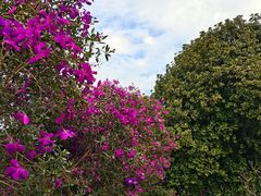 -南国桃园旅游度假区