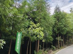 -阿坝州汶川特别旅游区
