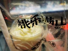 -桃乐满山(川沙百联店)