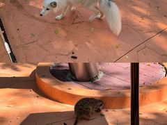 -南戴河国际娱乐中心