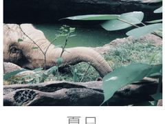 -南昌动物园