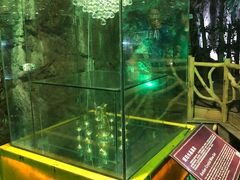 -青岛葡萄酒博物馆