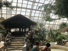 -盛泰恐龙谷温泉