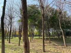 -洨河生态公园