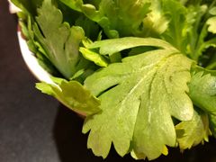 -芦月轩羊蝎子(劲松店)