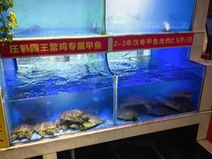 -王捌小院(红花坡店)