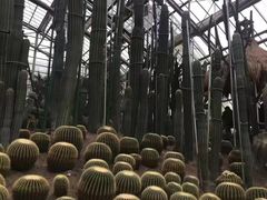 -南山植物园