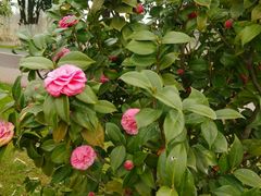 -艾溪湖湿地公园