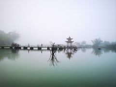 -靖西鹅泉风景区