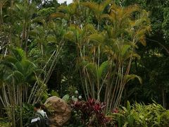 -人民公园(罗湖区)