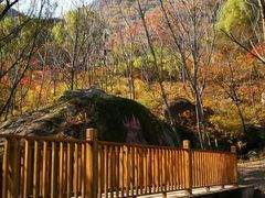 -云岫谷自然风景区