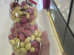 -桃乐兹手工巧克力(西直门凯德店)