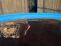 -春晖园度假酒店温泉