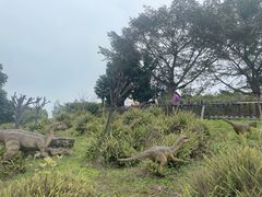 -自贡恐龙博物馆