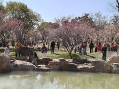 -无锡梅园公园