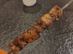 -福苗小骆驼烧烤(大唐不夜城店)