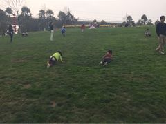 iphone_upload_pic-秀丽东方