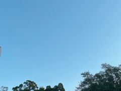 -荔枝公园(福田区)