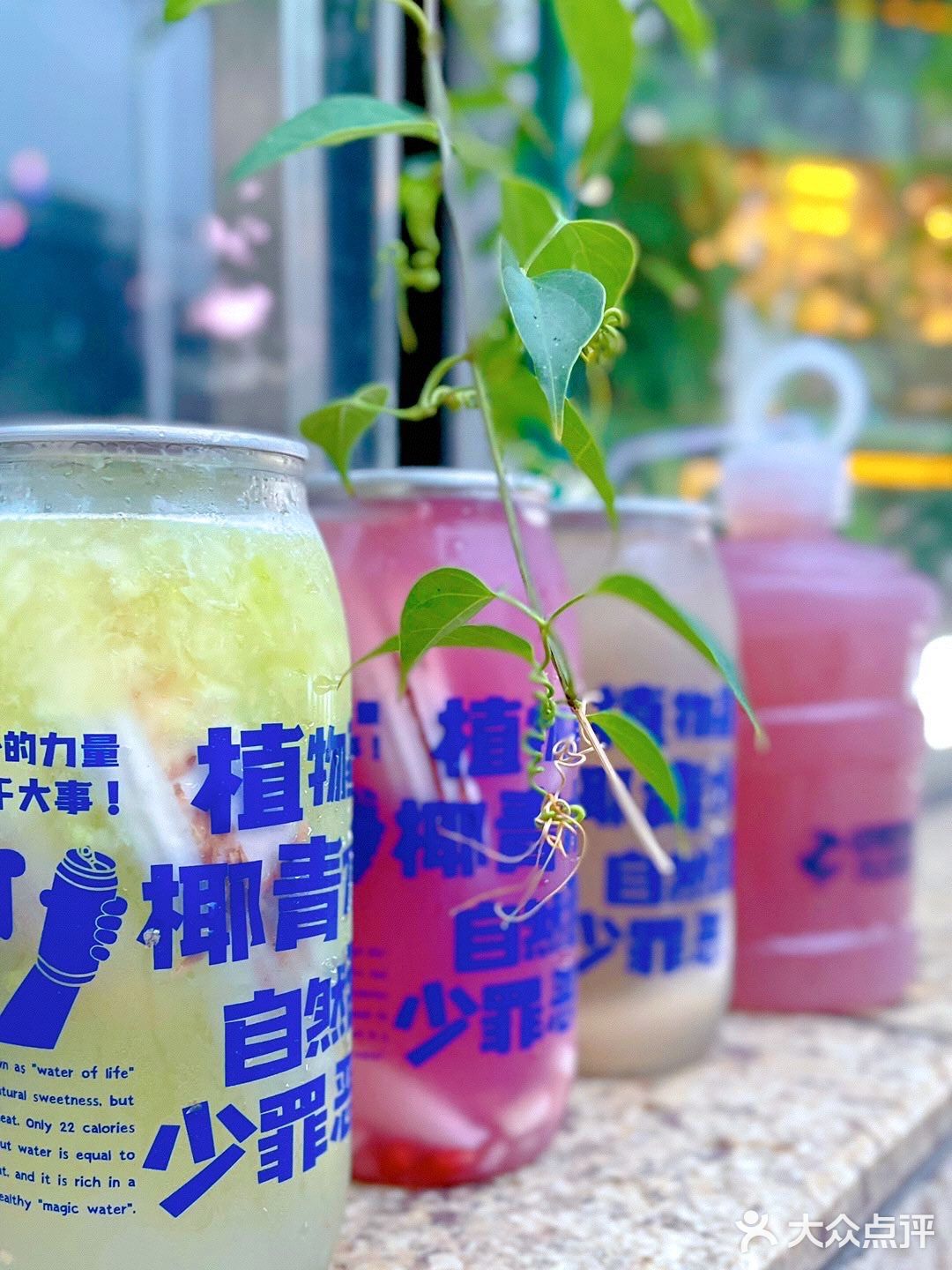 新店首发|蔻蔻椰首款椰青果汁，甜蜜来袭💕你喝了吗❓
