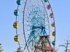 -巨鹏飞梦幻海岸