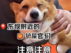 -北京派仕佳德动物医院·超导核磁·CT·神经科·骨科·内外科·急重症管理中心