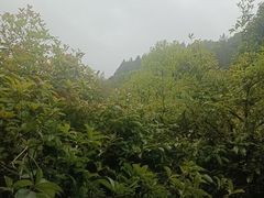 -故乡缘·香格里拉山庄(冷竹路店)