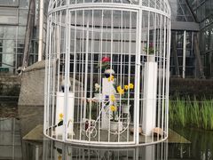 -南山植物园