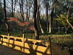 -杭州半山国家森林公园