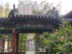 -碑林公园