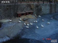 DSC01537-北京水岸山吧度假村(雁栖镇店)