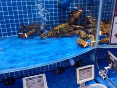 水产区-七鲜超市(通州ONE店)