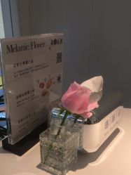 -玛莲朵·海菲秀冰珀科