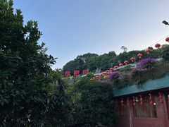 -枇杷园食为鲜火锅(南山店)
