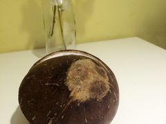 -志龙皇冠吃货椰子铺