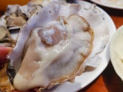 深海黄金蚝-千岛蚝高压锅生蚝·人参火锅(白云万达店)