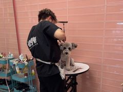 -FAELING PETS美天灵宠物(合生汇店)