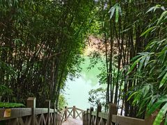 -广州市流溪河国家森林公园